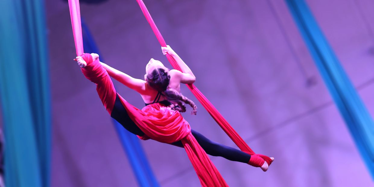 About Aerial Ovation
